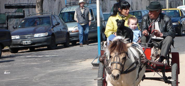 Argentina Wagon