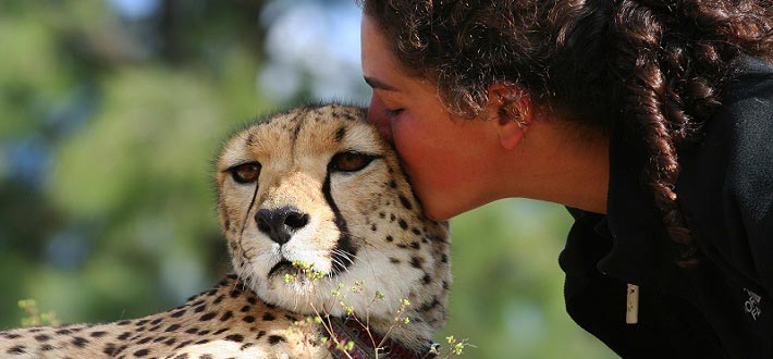 Namibia Noahs 2