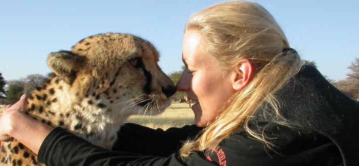 Namibia Noahs Cheetah Kiss 2