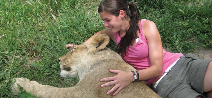 Namibia Noahs Lion Cuddle