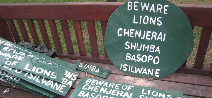 Zimbabwe Kids Lions 4