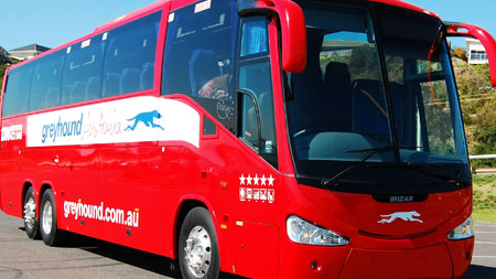 Greyhound