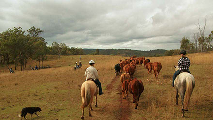 Farm & Travel utomlands