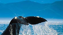Explore Ecuador
