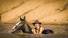 Horses & Wildlife