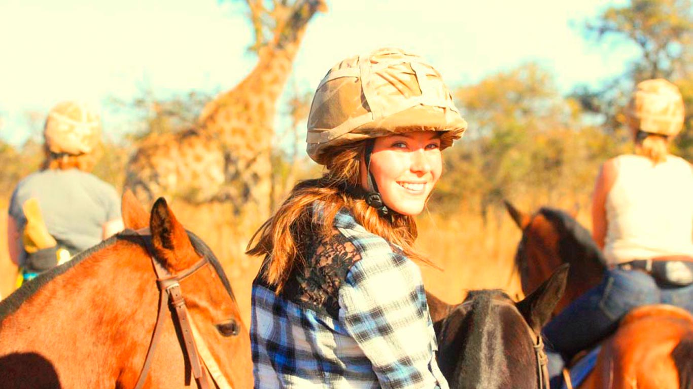 Horses & Lions cover photo