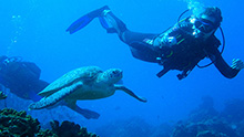 Marine & Reef Conservation