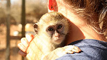 Wildlife Rescue Centre