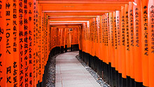 Work & Travel Japan